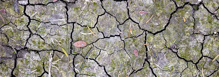 FC – Dry Eye Syndrome at Havre Optometric Clinic in Havre MT